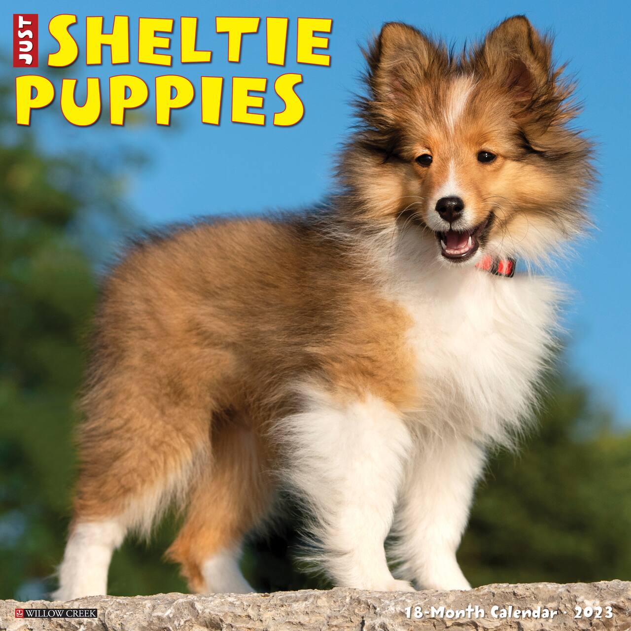 2023 Just Sheltie Puppies Wall Calendar Michaels